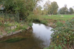 10.-Downstream-from-ROW-Footbridge-No-3