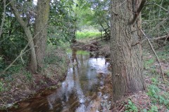 2.-Downstream-from-A39-Bridge-2