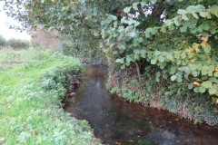 2.-Downstream-from-A39-Bridge-6