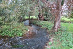 2.-Downstream-from-A39-Bridge-8