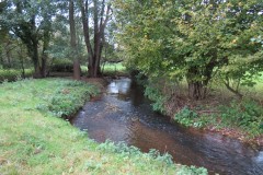2.-Downstream-from-A39-Bridge-9