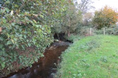 3.-Downstream-from-A39-Bridge-5