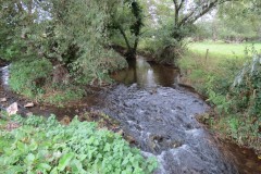 4.-Mill-stream-from-Cookss-Mill-rejoins-the-brook.