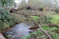 5.-Upstream-from-Town-Mill-Weir-2