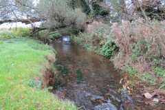 5.-Upstream-from-Town-Mill-Weir-3