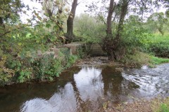 6.-Remains-of-Town-Mill-Weir-2