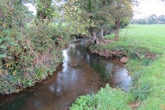 7.-Downstream-from-Town-Mill-Weir-2