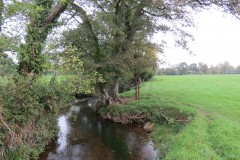 7.-Downstream-from-Town-Mill-Weir-3