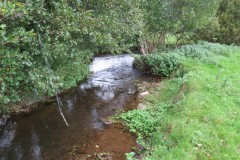 7.-Downstream-from-Town-Mill-Weir-4