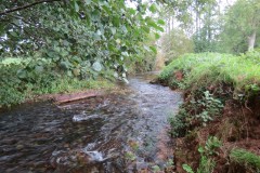 7.-Downstream-from-Town-Mill-Weir-5