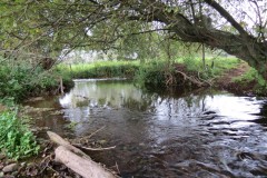 7.-Downstream-from-Town-Mill-Weir-6