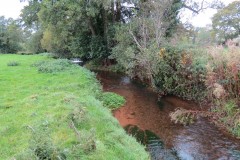 7.-Downstream-from-Town-Mill-Weir-7