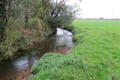 7.-Downstream-from-Town-Mill-Weir-8