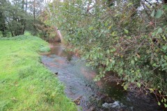 7.-Downstream-from-Town-Mill-Weir-9