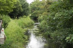 13.-Looking-upstream-from-ROW-Footbridge-4226