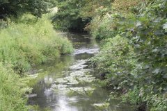 14.-Looking-downstream-from-ROW-Footbridge-4226