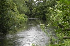 16.-River-Frome-above-Mells-River-Join