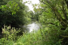 17.-River-Frome-above-Mells-River-Join