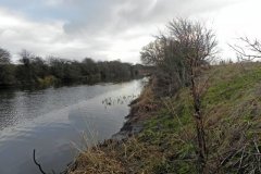 D. Bradney Bridge to Dunball Clyse