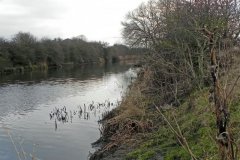2-Upstream-from-Bradney-Bridge