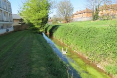 1.-Dueligh-Brook-from-Bridgewater-canal-to-River-Parrett-10