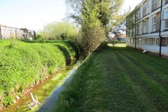 1.-Dueligh-Brook-from-Bridgewater-canal-to-River-Parrett-11