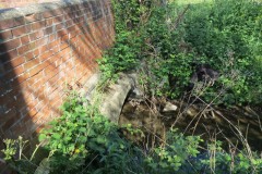 1.-Dueligh-Brook-from-Bridgewater-canal-to-River-Parrett-12