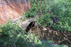1.-Dueligh-Brook-from-Bridgewater-canal-to-River-Parrett-13