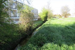 1.-Dueligh-Brook-from-Bridgewater-canal-to-River-Parrett-15