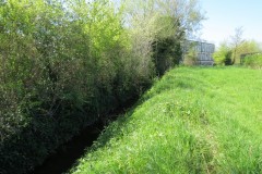 1.-Dueligh-Brook-from-Bridgewater-canal-to-River-Parrett-17