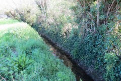 1.-Dueligh-Brook-from-Bridgewater-canal-to-River-Parrett-18