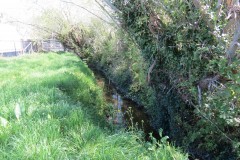 1.-Dueligh-Brook-from-Bridgewater-canal-to-River-Parrett-19