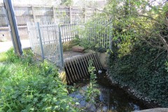 1.-Dueligh-Brook-from-Bridgewater-canal-to-River-Parrett-21