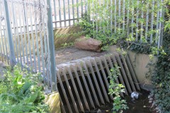 1.-Dueligh-Brook-from-Bridgewater-canal-to-River-Parrett-22