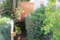 1.-Dueligh-Brook-from-Bridgewater-canal-to-River-Parrett-25