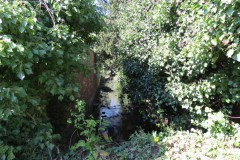 1.-Dueligh-Brook-from-Bridgewater-canal-to-River-Parrett-26