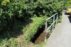 1.-Dueligh-Brook-from-Bridgewater-canal-to-River-Parrett-29
