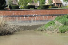 1.-Dueligh-Brook-from-Bridgewater-canal-to-River-Parrett-41