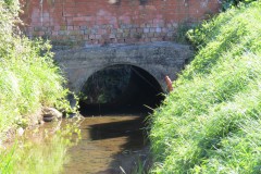 1.-Dueligh-Brook-from-Bridgewater-canal-to-River-Parrett-5