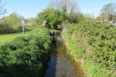 1.-Dueligh-Brook-from-Bridgewater-canal-to-River-Parrett-6