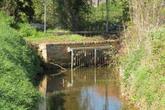 1.-Dueligh-Brook-from-Bridgewater-canal-to-River-Parrett-7