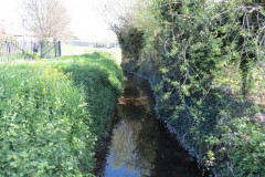 1.-Dueligh-Brook-from-Bridgewater-canal-to-River-Parrett-8