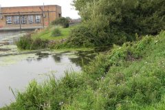 14.-Cripps-River-and-South-Drain-Join