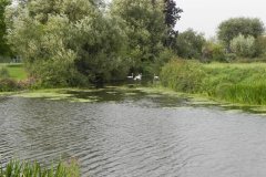 15.-Cripps-River-and-South-Drain-Join