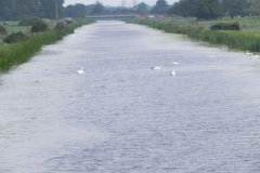 2.-Looking-upstream-from-West-Bridge