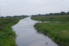 65.-Looking-upstream-from-Edington-Bridge
