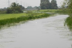 74.-Looking-downstream-from-Edington-Bridge