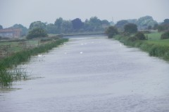 88.-Looking-downstream-from-Chilton-Moor-Bridge