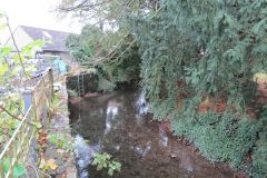 2.-Looking-upstream-from-Cheddar-bridge