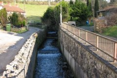 sheppey22-Draycott-to-Bowlish-Looking-Upstream